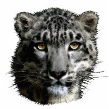 SNOW LEOPARD EYES (sculpted) Wildlife Gift Acrylic Cut Out