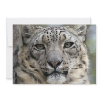 Snow Leopard Invitation