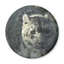 Snow Leopard magnets
