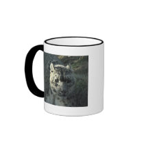 Snow Leopard mugs