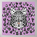 Snow Leopard posters