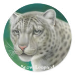 Snow Leopard Sticker