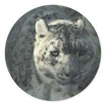 Snow Leopard stickers