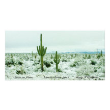 Snow on Catus Nature Series 2012  Note Cards Photo Greeting Card