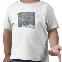 Snow on Dogwood Tree Quote Denis Waitley T Shirt