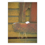 Snow on Shutter #1 cards