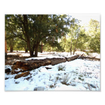 Snow On The Floor Art Photo