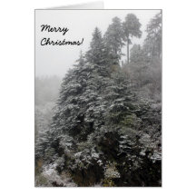 Snow on the Trees Christmas Card