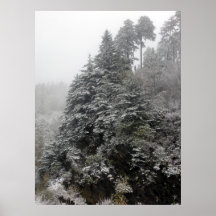 Snow on the Trees Poster
