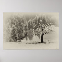 Snow on Tree Poster