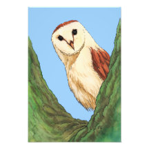 snow owl photo print