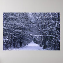 Snow Path Poster