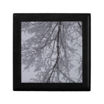 Snow pattern in the trees gift boxes