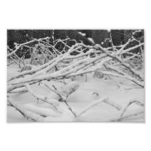 Snow Photographic Print