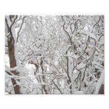 Snow! Photograph