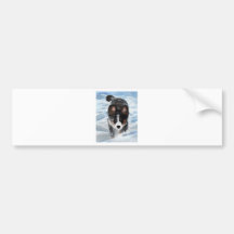 Snow Plow Bumper Sticker