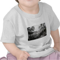 Snow Scene Tshirts