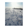 snow steps into sun postcards