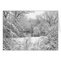 Snow Storm Card