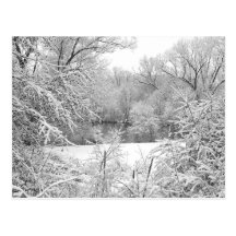 Snow Storm Postcards