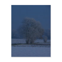 Snow Swept Lincolnshire Post Card