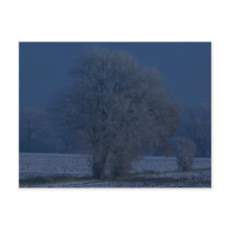 Snow Swept Lincolnshire Post Cards