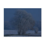 Snow Swept Lincolnshire postcards
