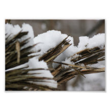 Snow Topper 7x5 Photographic Print