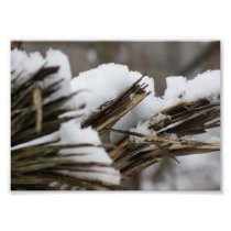 Snow Topper 7x5 Photographic Print