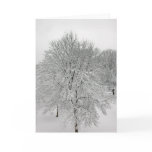 Snow Trees Cards