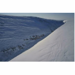 Snow Valley photo sculptures