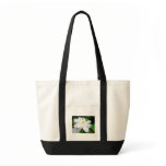 Snow White Clematis Tote Bags