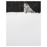Snow Wolf Custom Letterhead