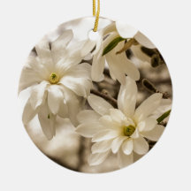 Snowball Magnolia Ornaments