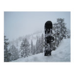 Snowboard In Snow Postcards