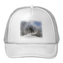 Snowboarding 360 Baseball Hat