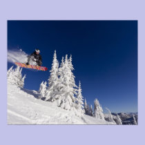 Snowboarding action at Whitefish Mountain Resort posters