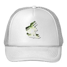 Snowboarding Design Baseball Hats