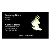 Snowboarding Design Business Card