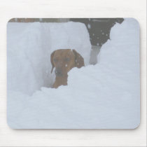 Snowbound Mouse Pad