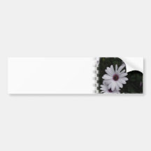 Snowdrift Aster Bumper Sticker