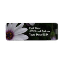 Snowdrift Aster Return Address Label
