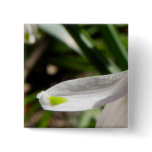 Snowdrop Petal Pin