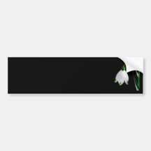 snowdrops bumper stickers