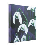 Snowdrops & Crocus Canvas Print