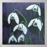 Snowdrops & Crocus Posters