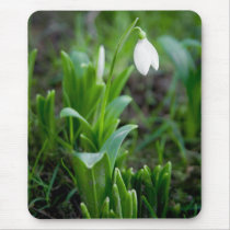 Snowdrops Mousepad | Mousepad Schneegloeckchen