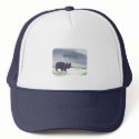 Snowdusted Bison hat