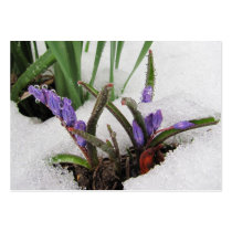 Snowed in Flowers ~ ATC