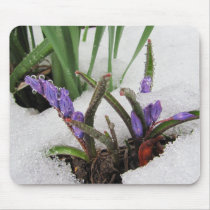 Snowed in Flowers ~ mousepad